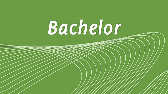 Grüne Kachel auf der Bachelor steht